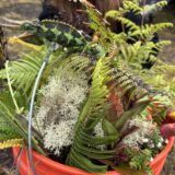 クリスマスリース：ハワイ島