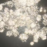 ハワイ島も2026年を迎えました